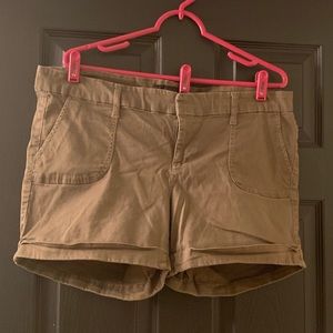 Torrid shorts